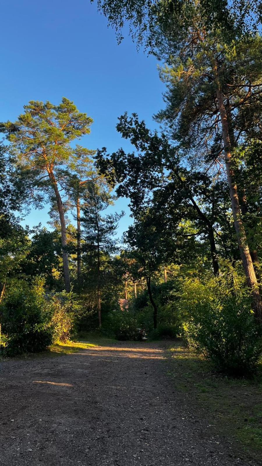 Vakantiehuis Vliegend Hert Veluwe 宁斯佩特 外观 照片