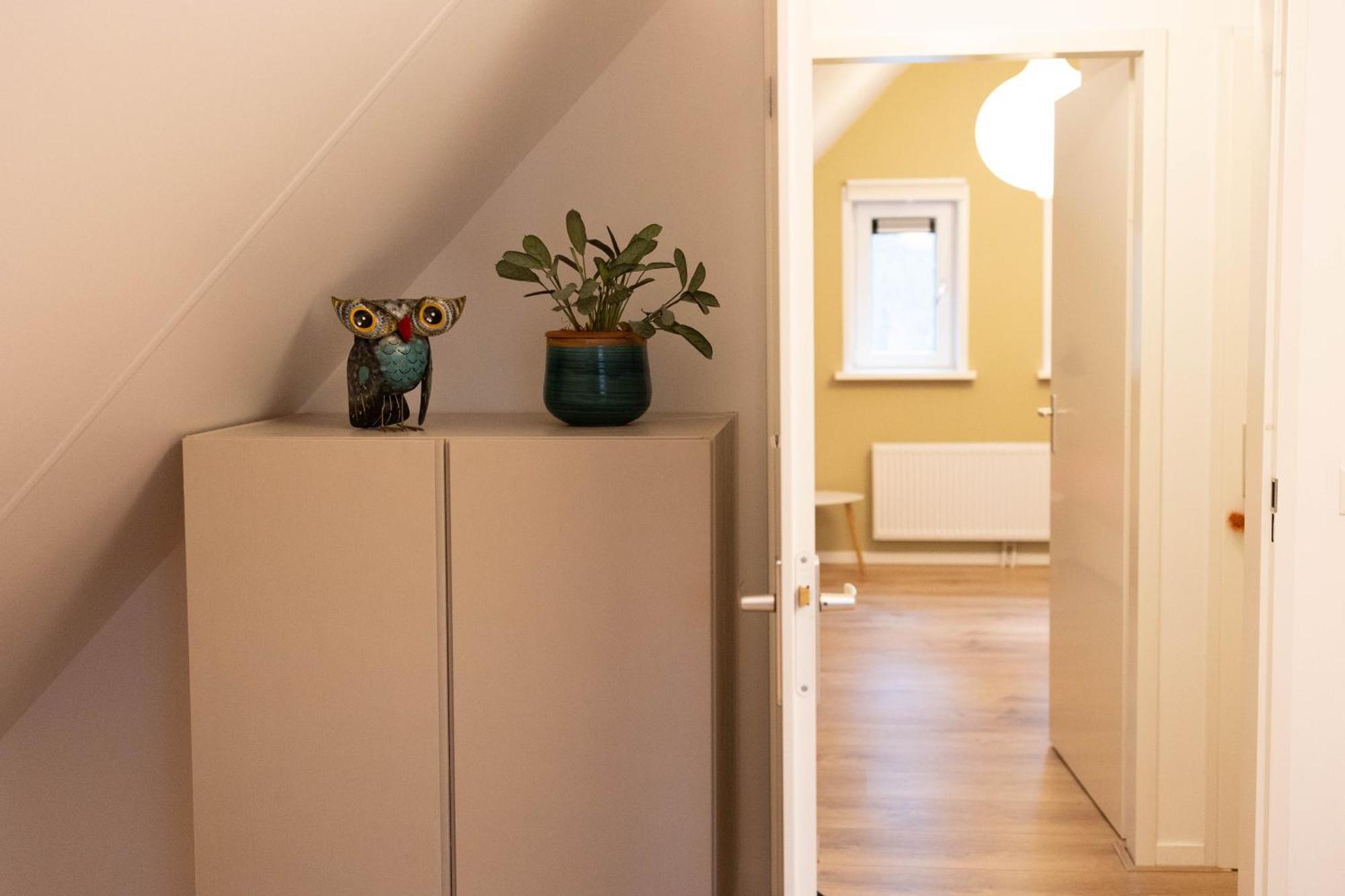 Vakantiehuis Vliegend Hert Veluwe 宁斯佩特 外观 照片