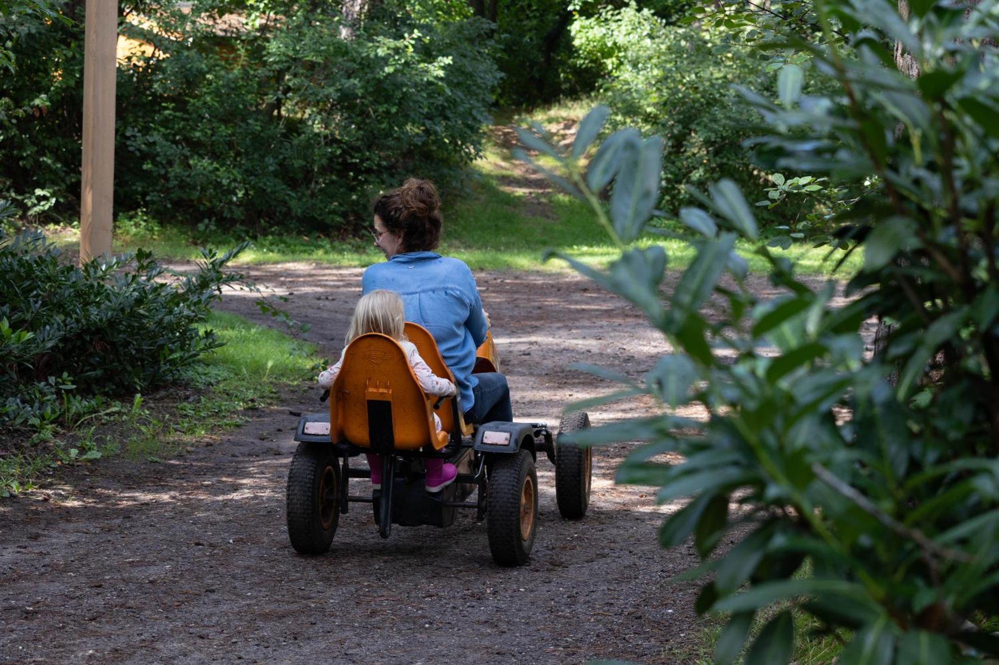 Vakantiehuis Vliegend Hert Veluwe 宁斯佩特 外观 照片