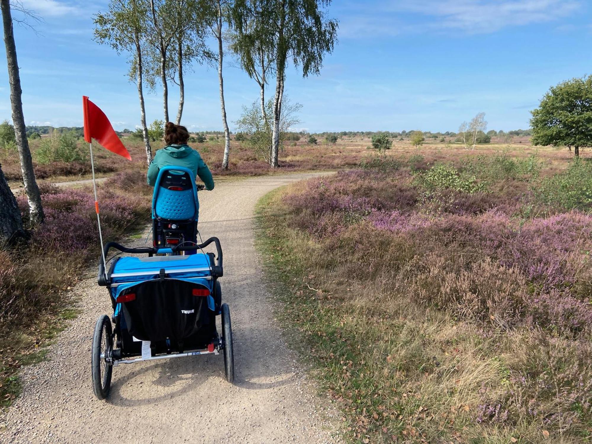 Vakantiehuis Vliegend Hert Veluwe 宁斯佩特 外观 照片