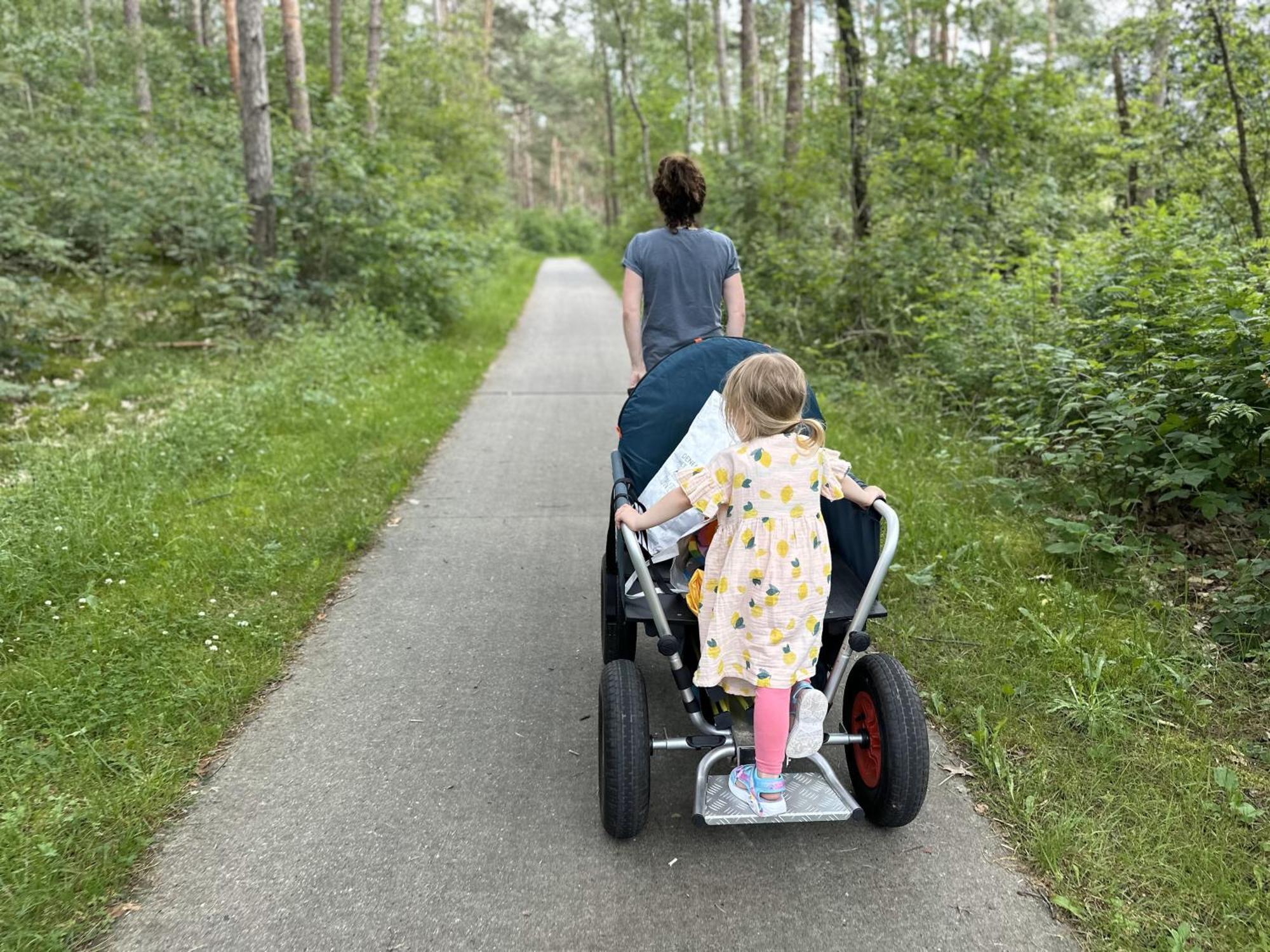 Vakantiehuis Vliegend Hert Veluwe 宁斯佩特 外观 照片